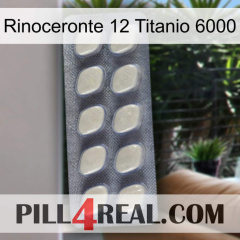 Rhino 12 Titanium 6000 08